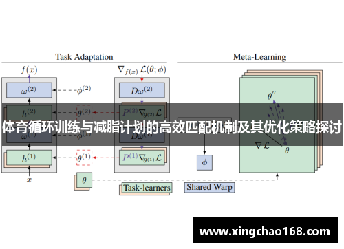 体育循环训练与减脂计划的高效匹配机制及其优化策略探讨