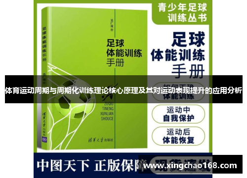 体育运动周期与周期化训练理论核心原理及其对运动表现提升的应用分析
