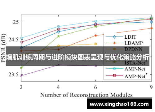 增肌训练周期与进阶模块图表呈现与优化策略分析