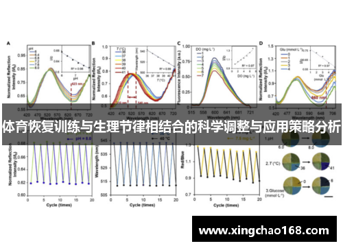 体育恢复训练与生理节律相结合的科学调整与应用策略分析 体育恢复训练与生理节律相结合的科学调整与应用策略分析