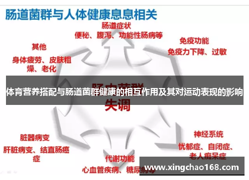 体育营养搭配与肠道菌群健康的相互作用及其对运动表现的影响 体育营养搭配与肠道菌群健康的相互作用及其对运动表现的影响